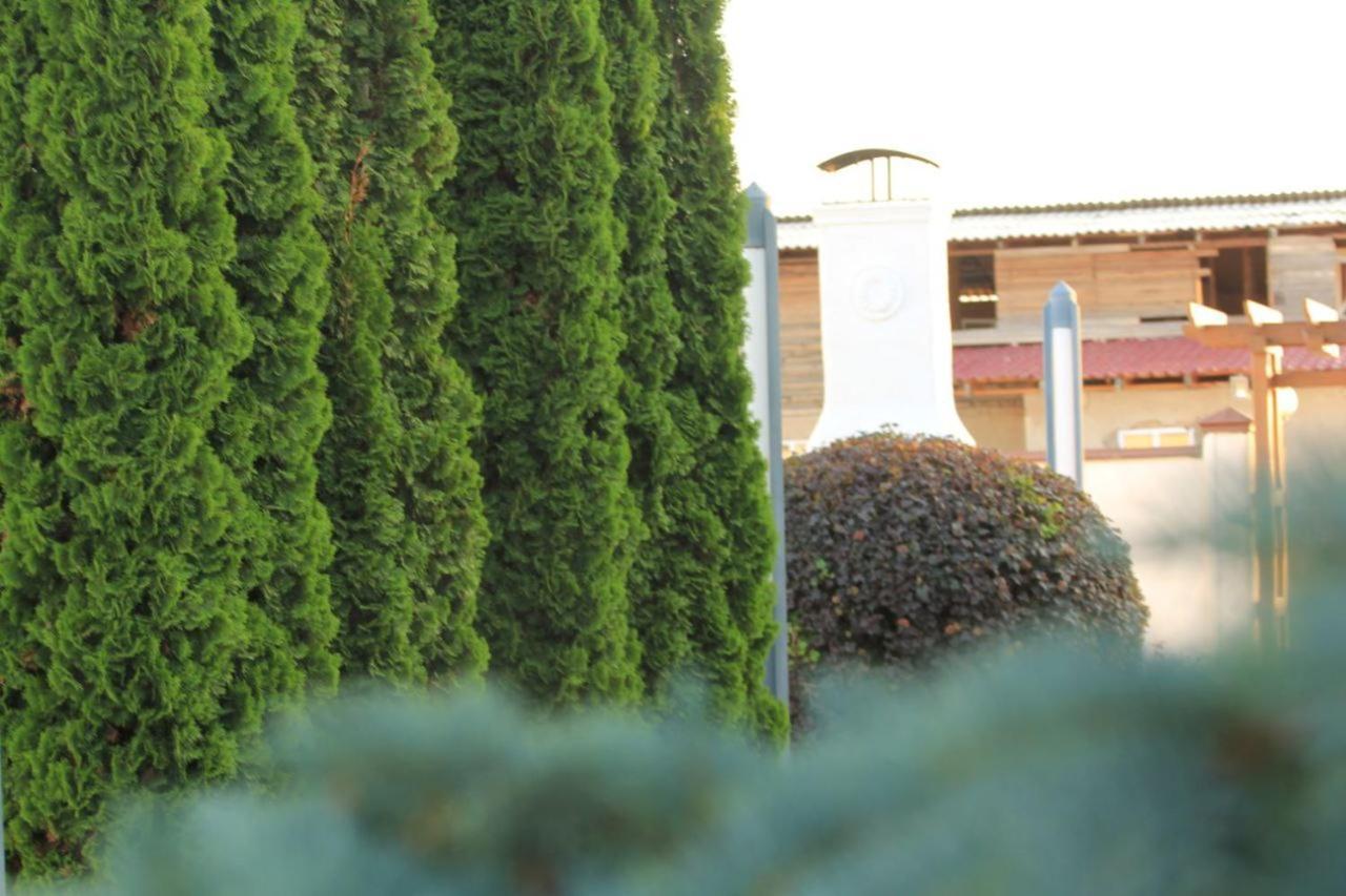 Chebak RANCH Hotel Tamchy Bagian luar foto